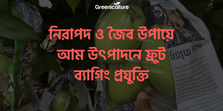 Fruit Bagging technolgy