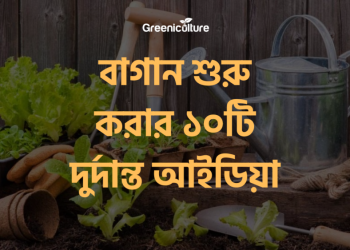 10 ideas for starting a garden