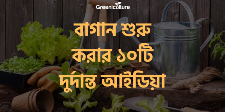 10 ideas for starting a garden