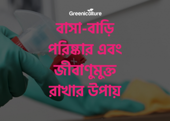 How to clean and disinfect your house