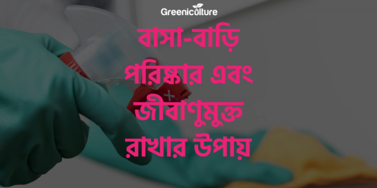 How to clean and disinfect your house