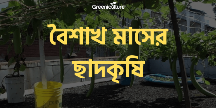 বৈশাখ মাসের কৃষি 1 Farming at Baishakh