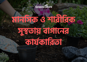 gardening for mental peace and health