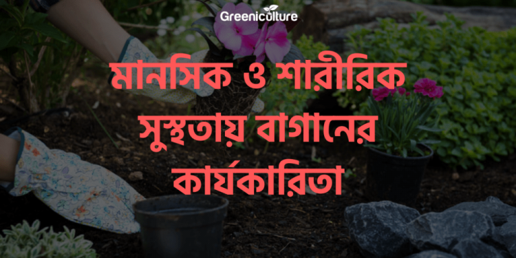 gardening for mental peace and health