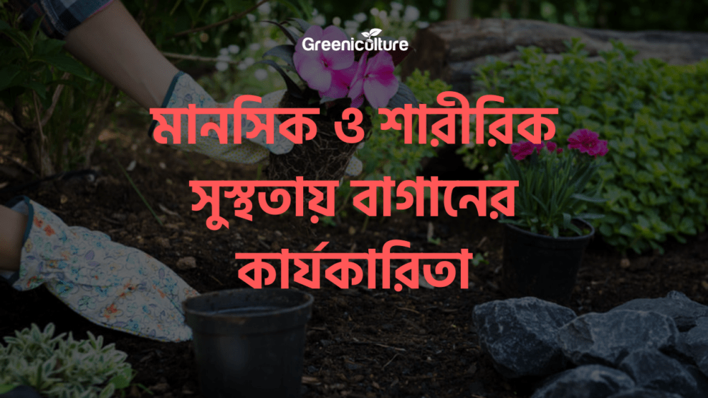 gardening for mental peace and health