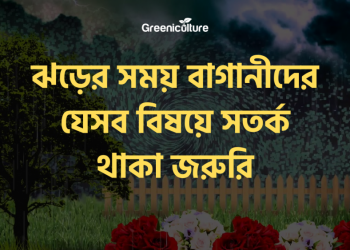 Caution while storming