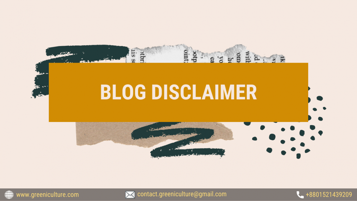 BLOG Disclaimer