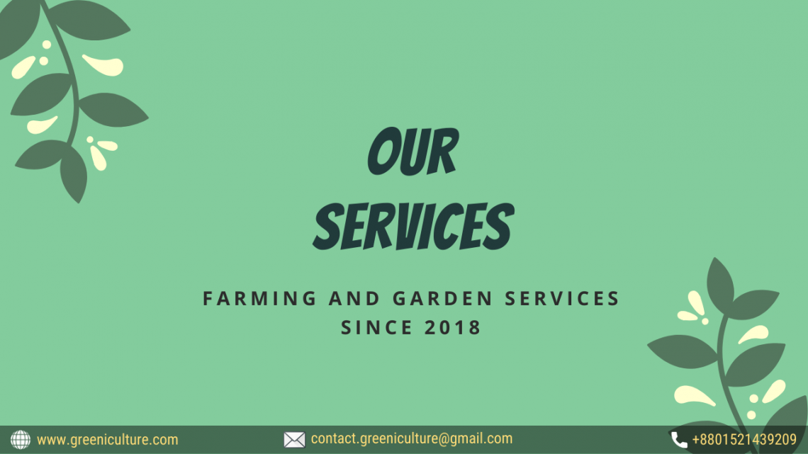 Our Services