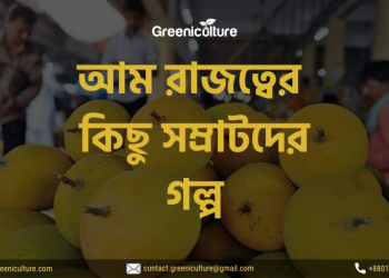 Stories of 4 common mango varieties