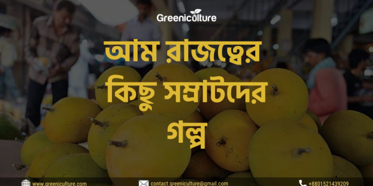 Stories of 4 common mango varieties