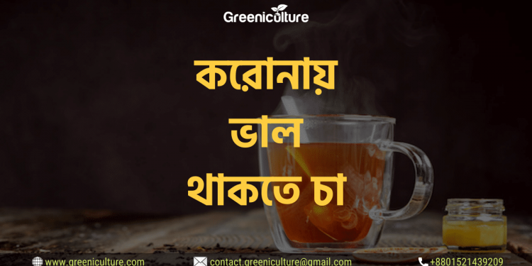 Tea for preventing covid-19