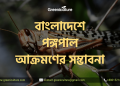 বাংলাদেশে পঙ্গপাল আক্রমণের সম্ভাবনা 8 Locust in Bangladesh