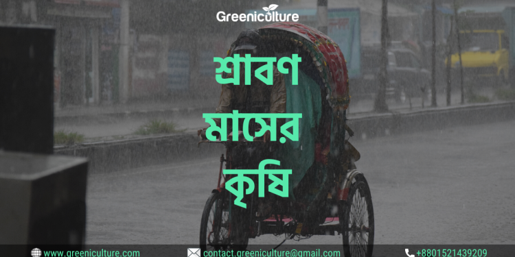 শ্রাবণ মাসের কৃষি 1 Farming at shrabon