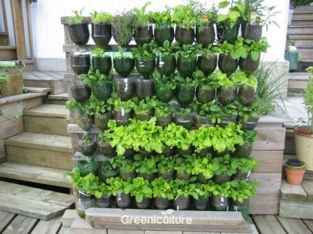 Plastic Bottles Vertical Gardening