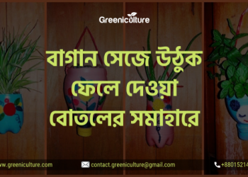 Plastic Bottles thumbnail