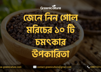 Black Pepper Thumbnail