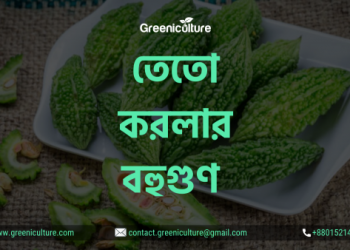 তেতো করলার বহুগুণ