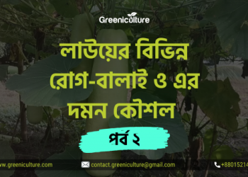 Bottle gourd diseases 2