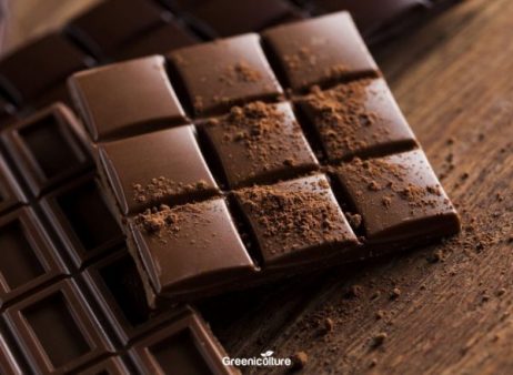dark chocolate bar squares