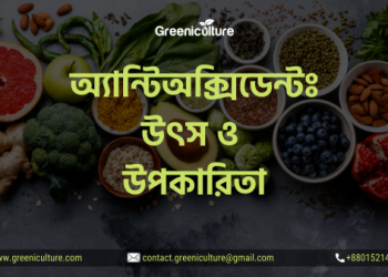 অ্যান্টিঅক্সিডেন্টঃ উৎস ও উপকারিতা