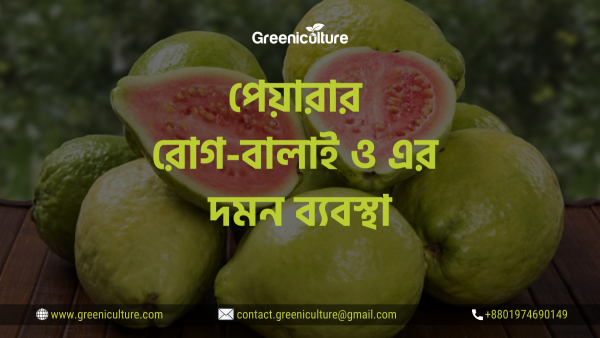 Guava Diseases