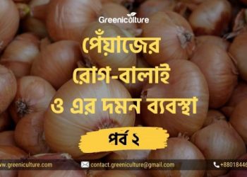 পেঁয়াজের রোগ-বালাই ও এর দমন ব্যবস্থা – পর্ব ২