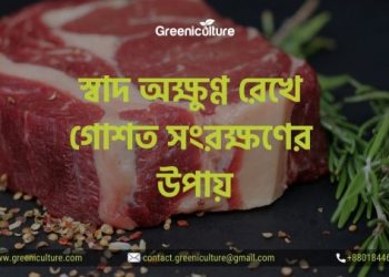 স্বাদ অক্ষুণ্ণ রেখে গোশত সংরক্ষণের উপায়